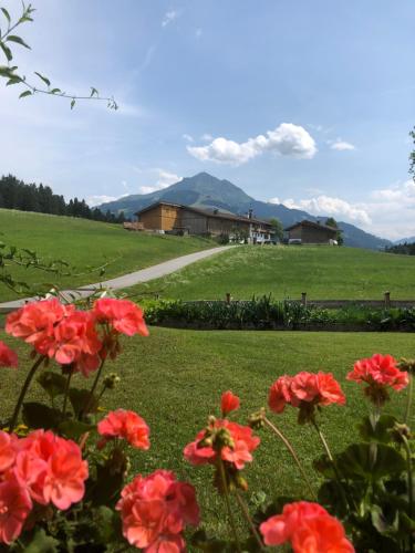 Appartement Wörgötter Evi