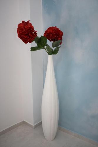 Art Apartments - image 3