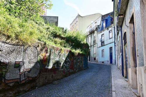 Bombarda Charming Central Apartment 1