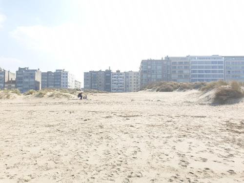 Oostduinkerke - Appartement met zeezicht en 2 parkeerplaatsen