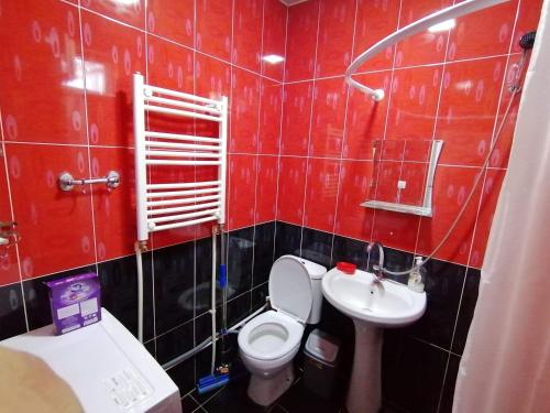 Ira & Vaso's Apart hotel Borjomipark