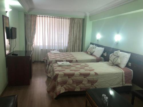 Hivas Hotel, Istanbul (photo 2)