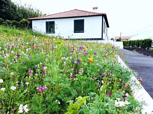 Santa Barbara Holiday Rentals gîte à louer Arrife