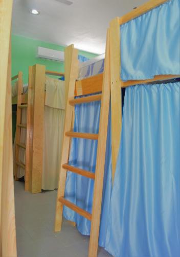 Foto - Blue Magic Hostel