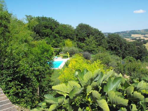 Bed and breakfast Il Governatore in Urbino