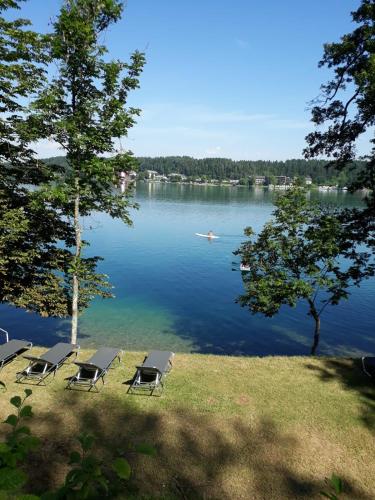Group request. Additional services Bauernmarkt St. Kanzian, Norduferpromenade. Norduferpromenade Klopeiner See | n/Klopeiner See | Klopeiner See - Sdkrnten | Krnten. Klopeiner Tue, Jun 23, 2020 - more dates. 16:00, 5 Bauernmarkt St. Kanzian, Norduferpromenade - comunidadelectronica.com