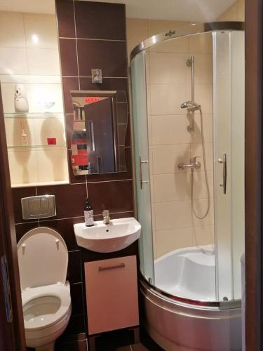 Sunny and lovely apartment. Near Chopin Airport!, Warsaw (photo 7)