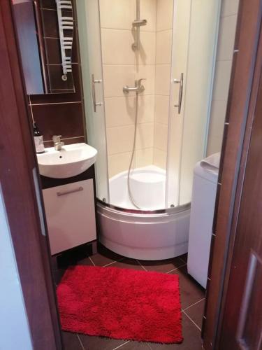 Sunny and lovely apartment. Near Chopin Airport!, Warsaw (photo 8)