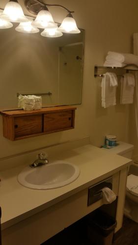 Tradewinds Motel - 화장실