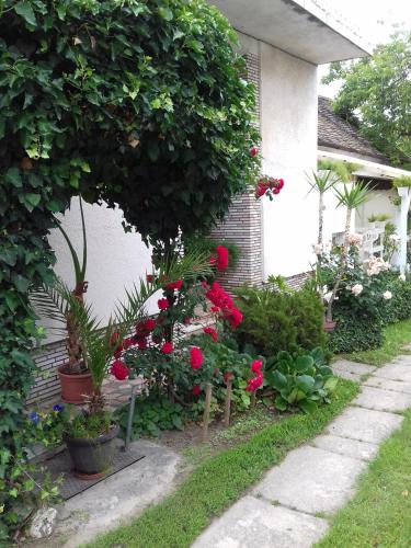  Dani Pince és Vendégház in Villány
