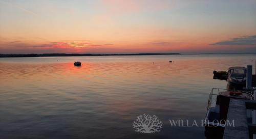 Willa Bloom, Rewa (foto 2)