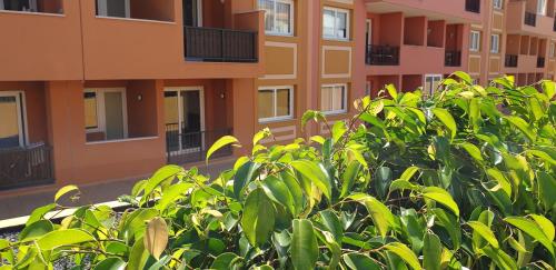 Apartamento Tazacorte La Palma