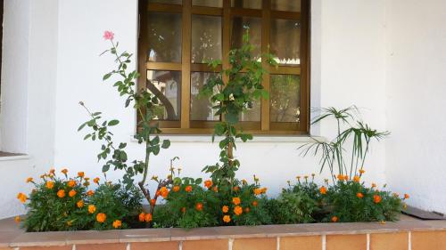 HOSTAL CANDELEDA - image 14