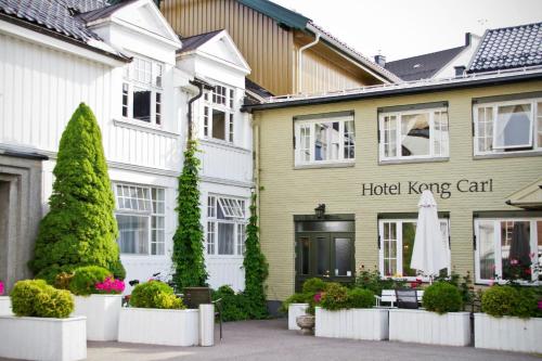 Hotel Kong Carl - image 4