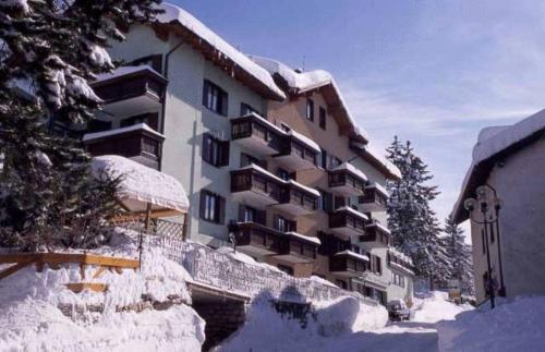 Hotel Irma - image 7