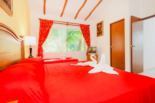 Executive Budget Room With Swimming Pool Air Conditioning and Parking Playa Del Carmen