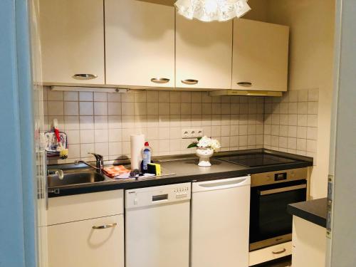Ferienwohnung an der Elbfähre, Drážďany (fotografie 8)