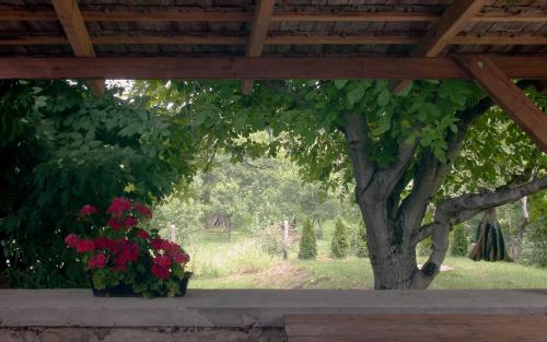Nevenincs Vendégház - image 6