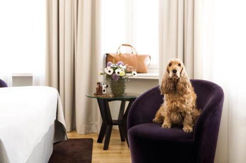 Elite Stora Hotellet Örebro - image 11