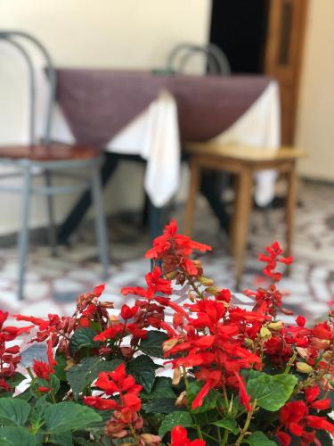 Guest House Plima 2 4