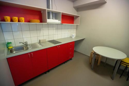 Kitchen, Downtown Hostel in Tartu