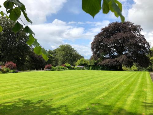 Netherdale House & The Coach House