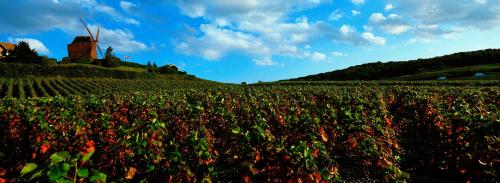 ibis Styles Reims Centre - image 10