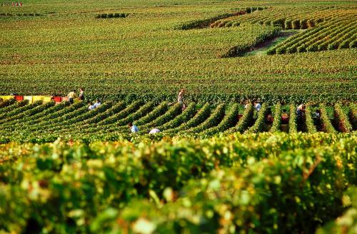 ibis Styles Reims Centre - image 13