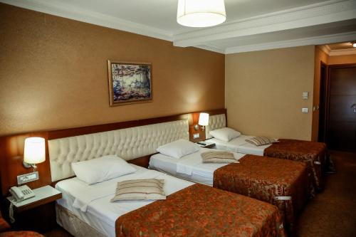 Yuksel Hotel - image 9