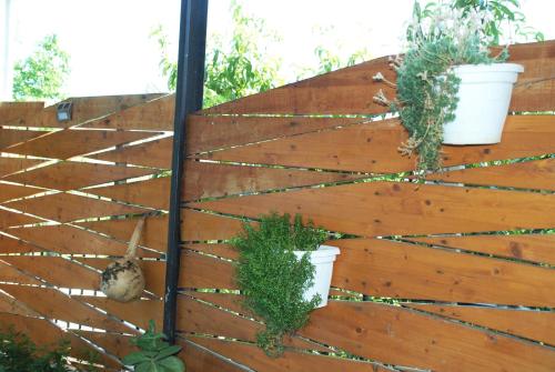 Family Room room in Villa Mucho