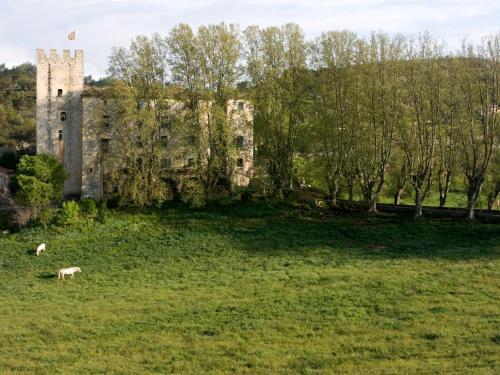 Château d'Esparron - Esparron-de-Verdon