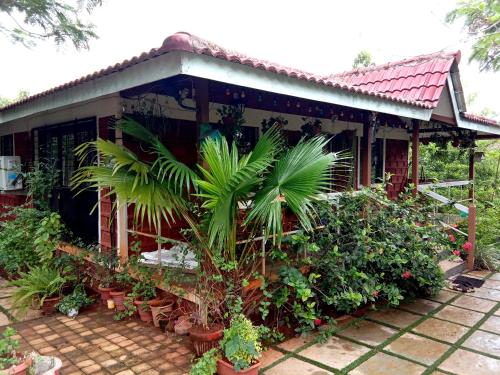 Mahale Mansion in Tamhini Ghat, Devkund, Kolad Rafting