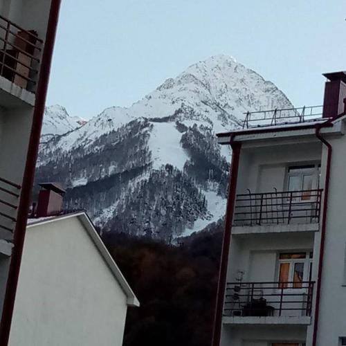 Apartment Laura Roza Gazprom