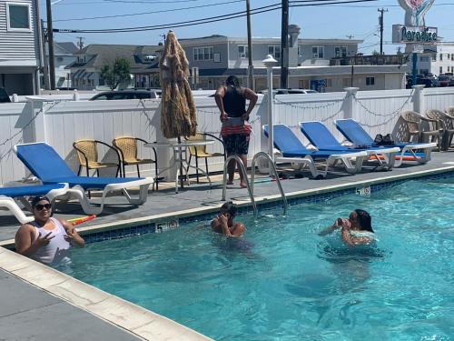 Bird of Paradise Motel in North Wildwood, USA