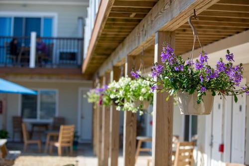 Aqualina Inn Montauk 5