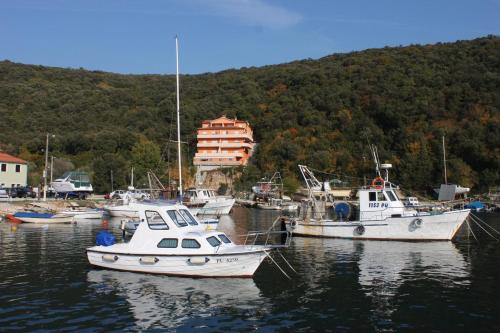  Apartments by the sea Luka Krnica (Marcana) - 7496 in Mali Vareški