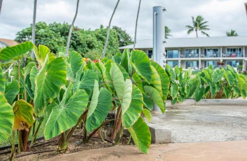 Napili Surf Beach Resort