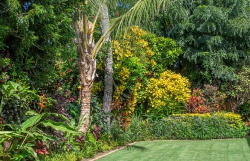 Napili Surf Beach Resort