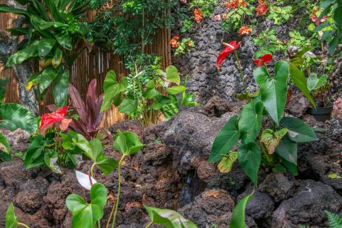 Napili Surf Beach Resort