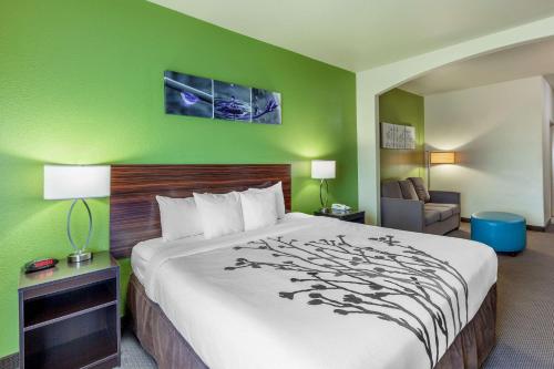 King Suite