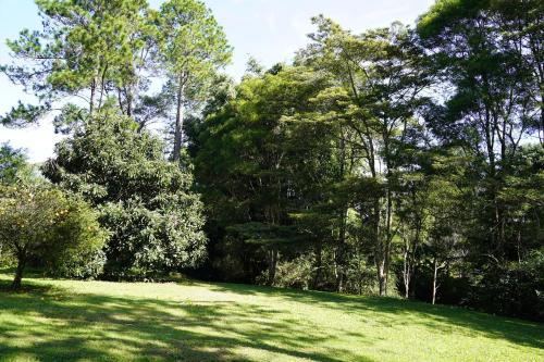 McCarthy Grove Maleny