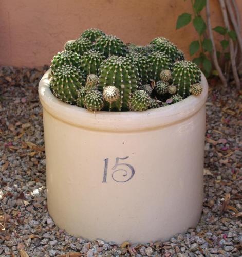 Adobe Rose Inn - image 6