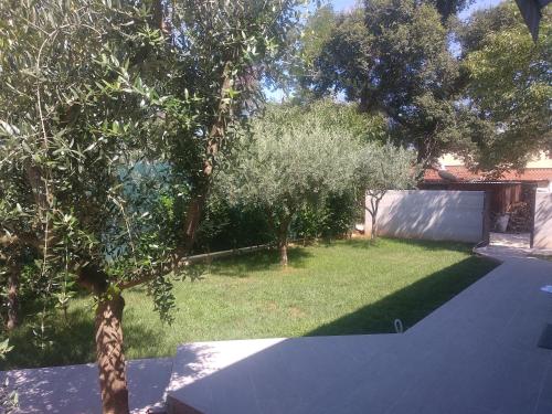 المنظر الخارجي, App Neno in Murine