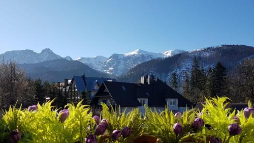 Giewont Lux - Sauna i Basen