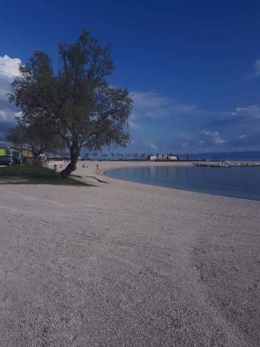 Apartments Bonus and private parking, Split (photo 10)