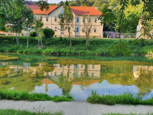  Studio apartman Swan in Duga Resa