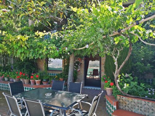 Casa Jardin Alhambra, Granada (fotografie 8)
