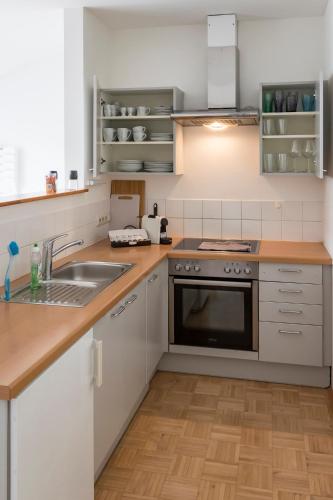 Kitchen, Flataid Apartment Obere Bahnstraße - Grazer Messe in Jakomini