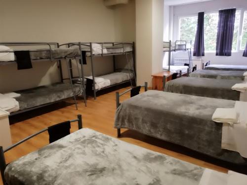 Alma del Camino - Rooms & Albergue - image 11