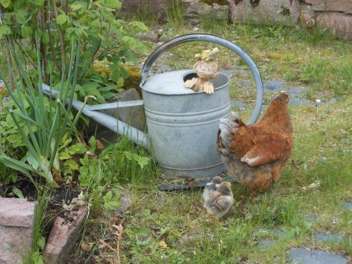 L'Atelier de Gisèle - image 6